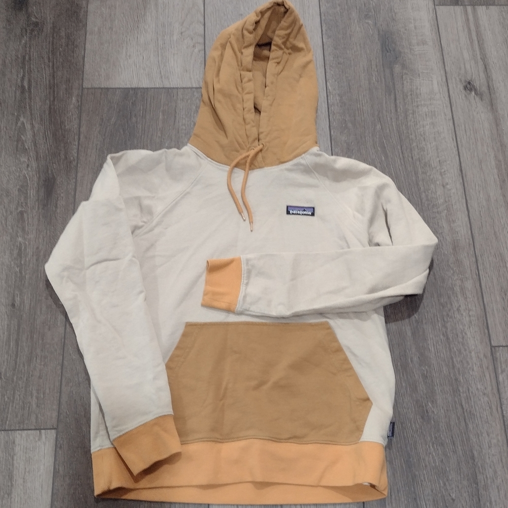 Patagonia Organic Cotton Hoodie